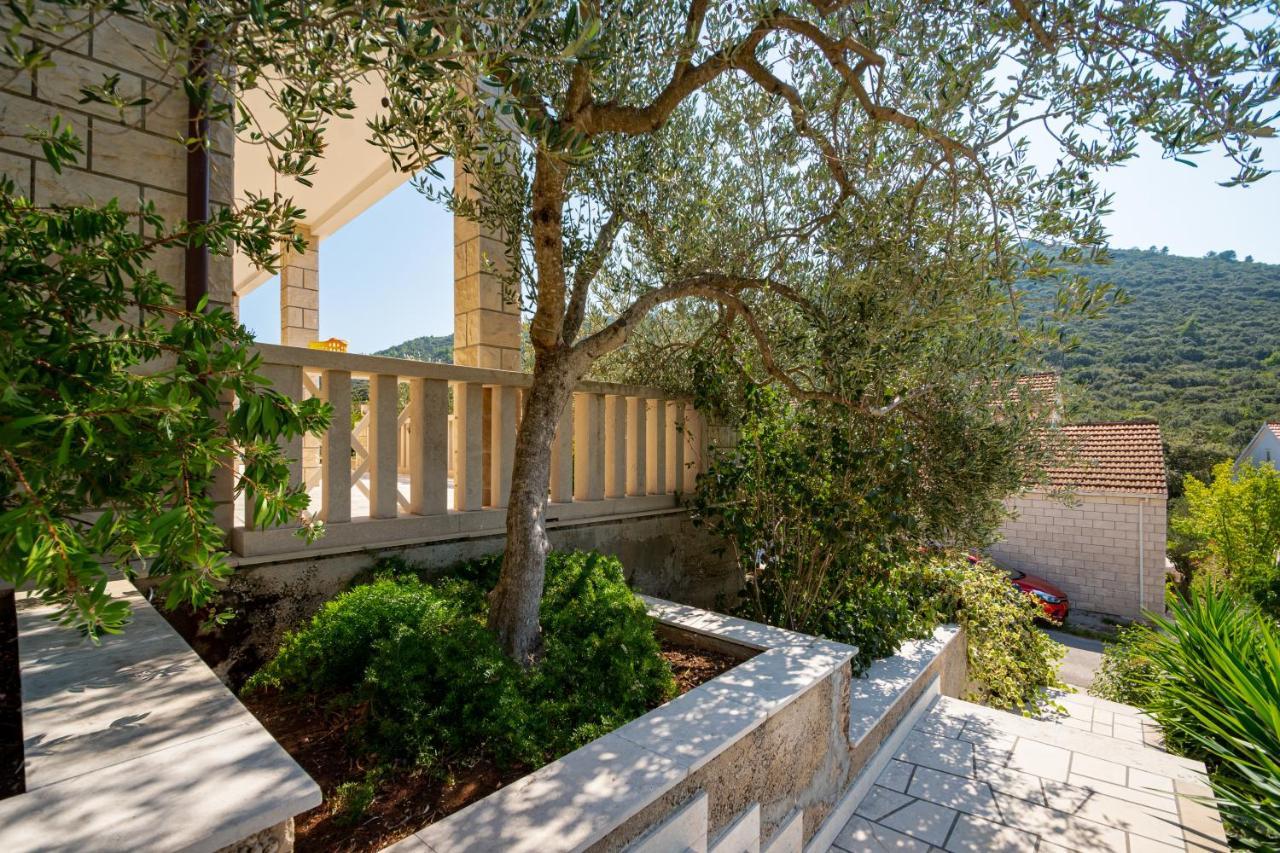 Villa Ana Zrnovo Exterior foto