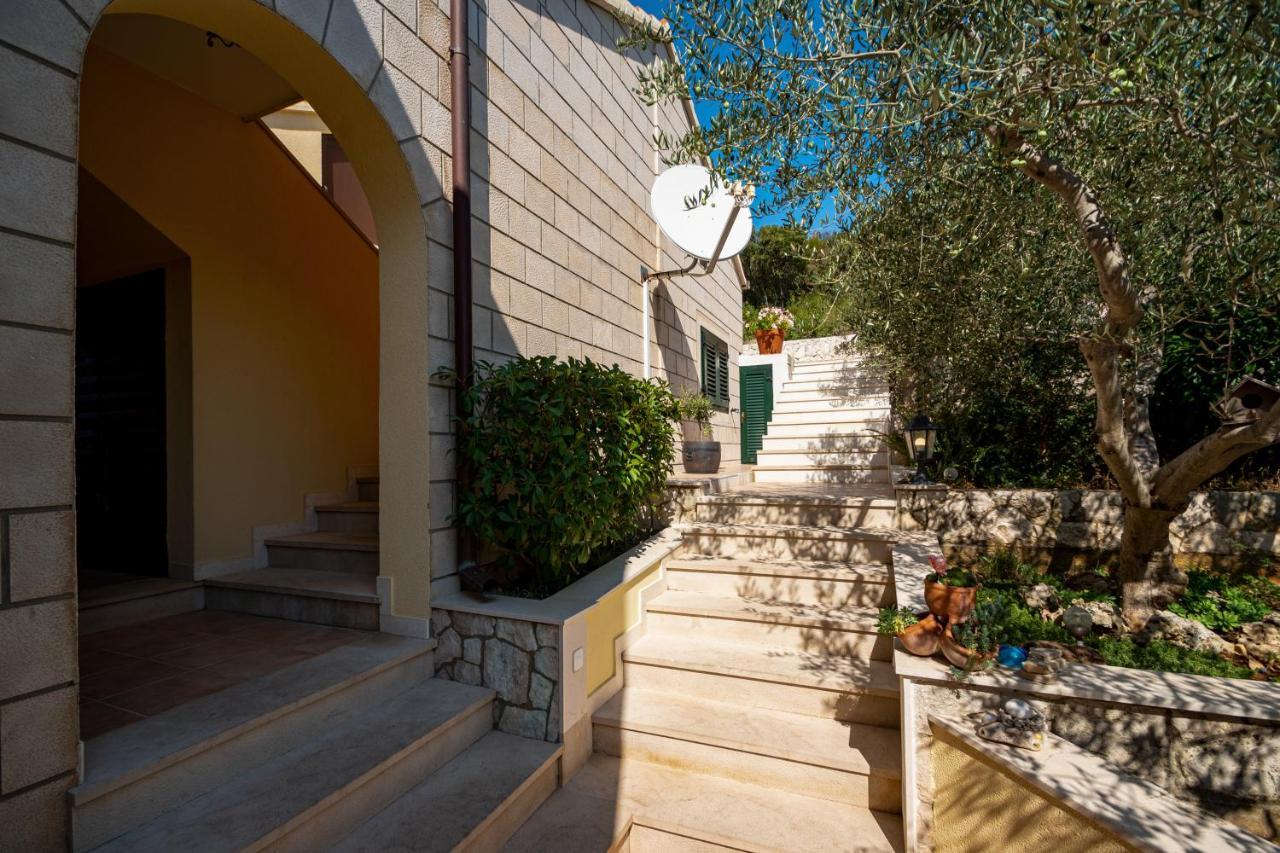 Villa Ana Zrnovo Exterior foto